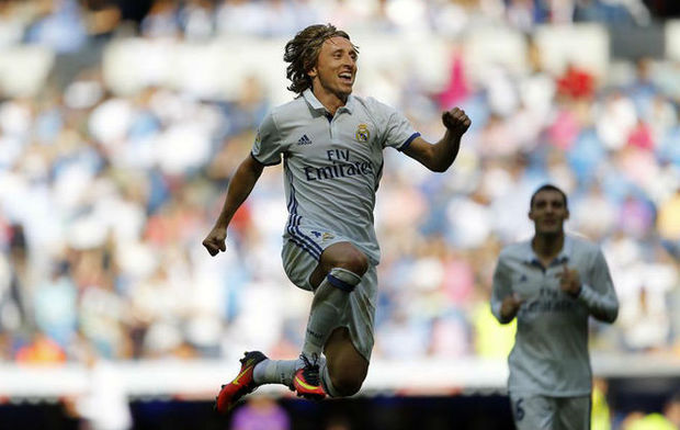 手的发展 手的发展